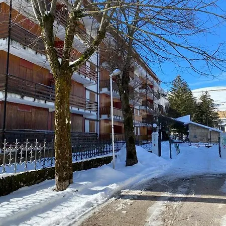 La Tana Dell' Orso Bruno Apartment *