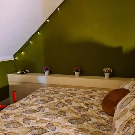 La Tana Dell' Orso Bruno Apartment Pescasseroli